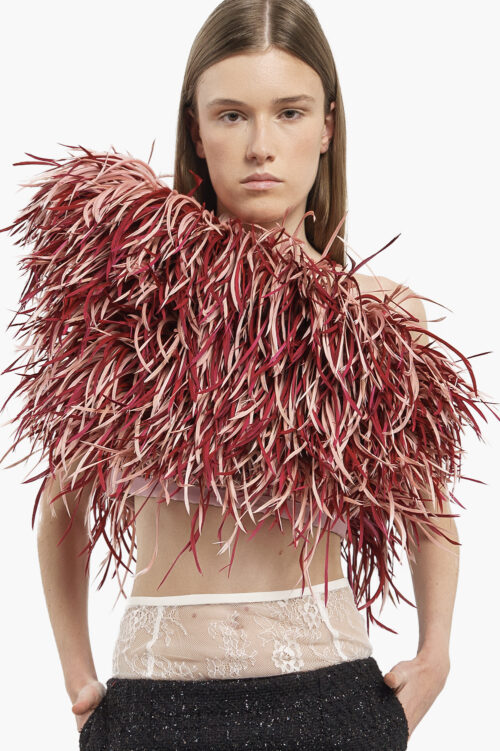 Pink & Burgundy Feather Corset Top